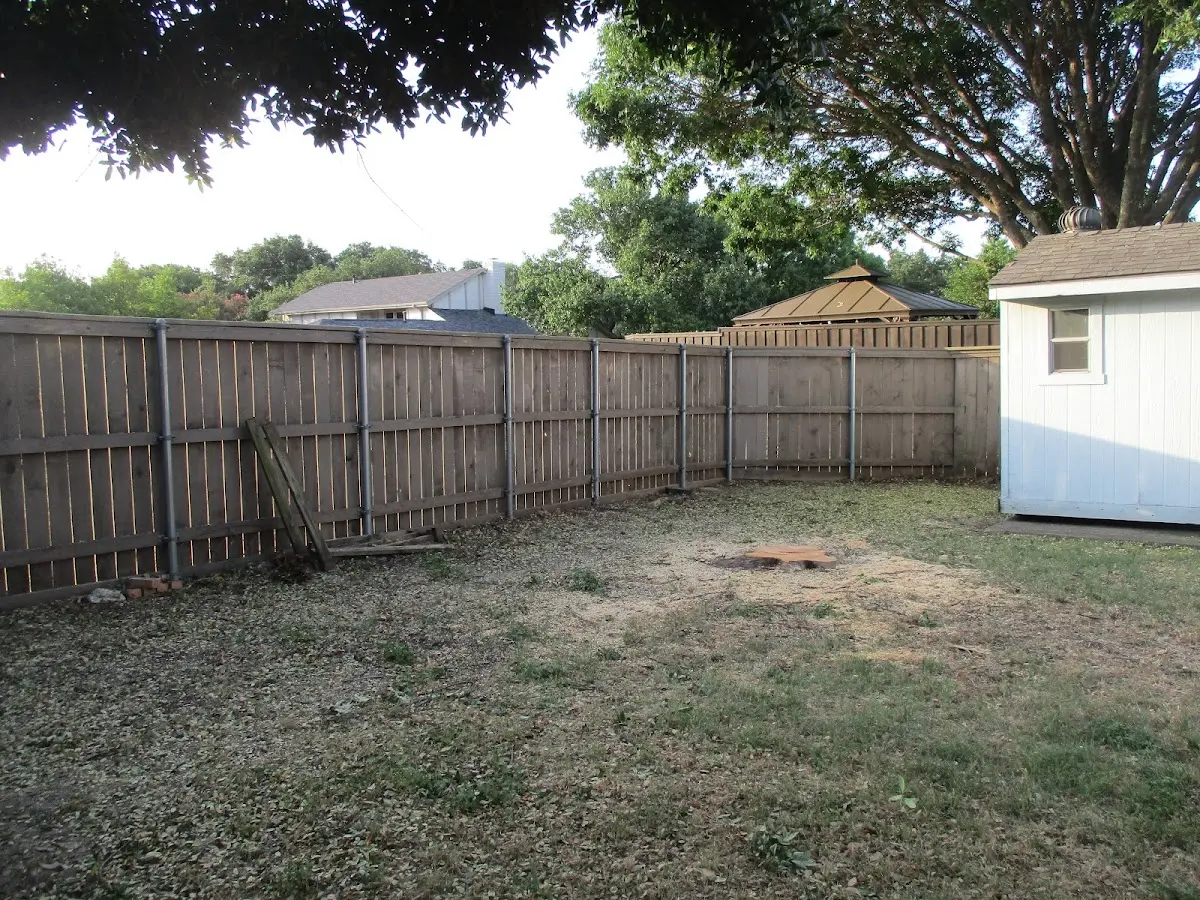 Cleared yard after professional tree removal in Doran